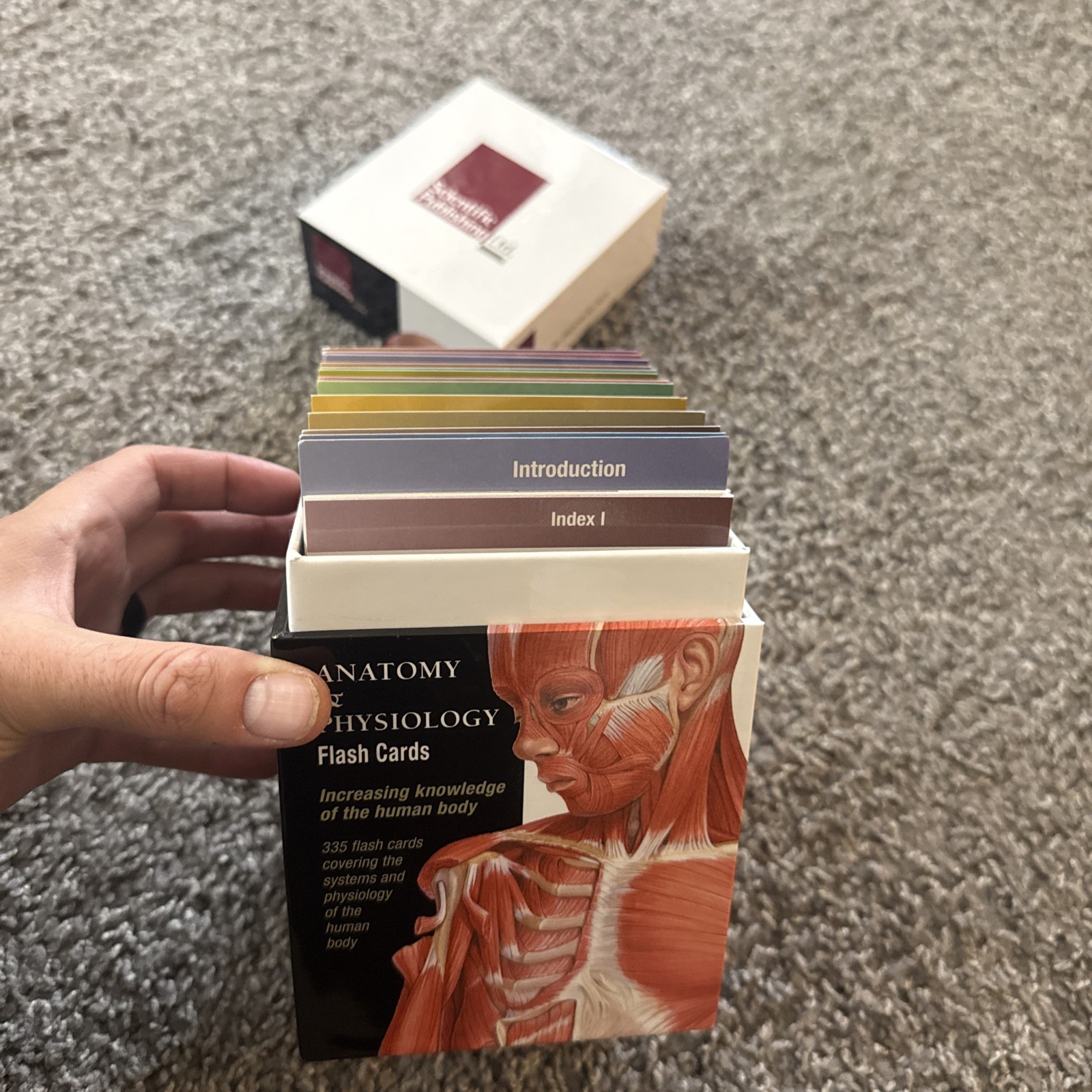Anatomy & Physiology Flash Cards Scientific Publishing 335 Cards Pre-Med Box
