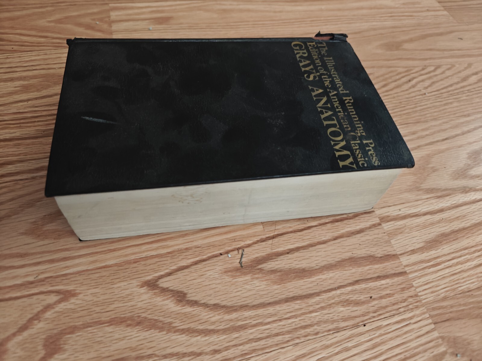 The Illustrated Running Press Edition Of The American Classic Grays Anatomy 1974