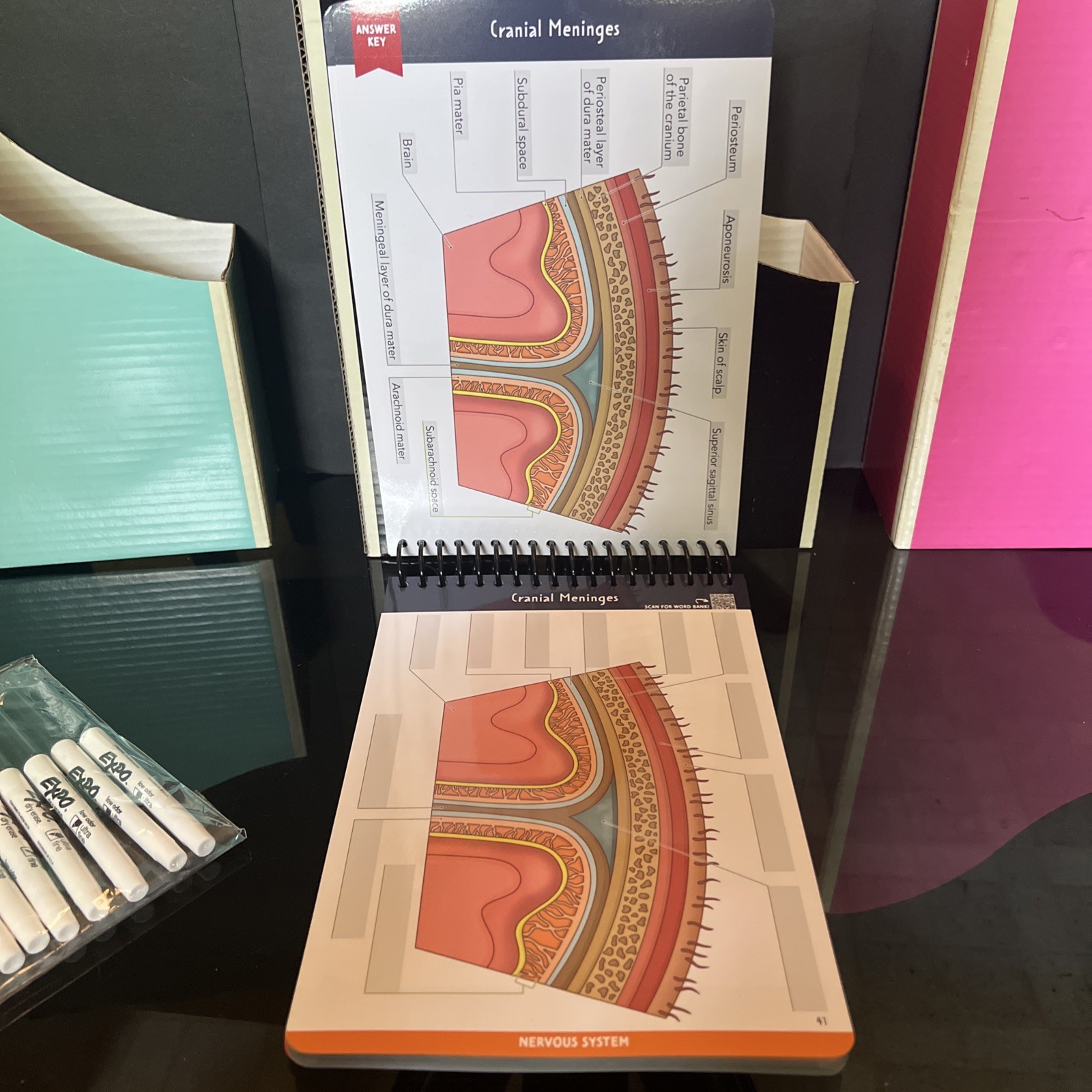 Nurse In The Making Anatomy Label Lab Workbook Laminated Spiral Bound