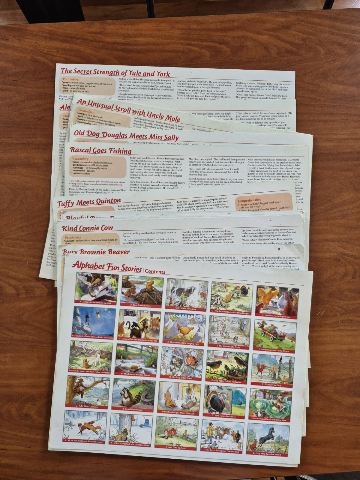 A Beka Homeschool Alphabet Fun Stories Visuals – 19 Cards