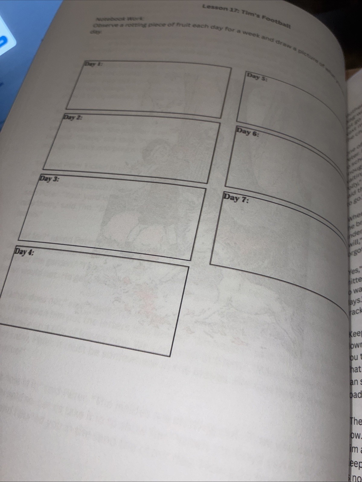 1st Grade Science Full year Lessons Workbook First Grade science homeschool set