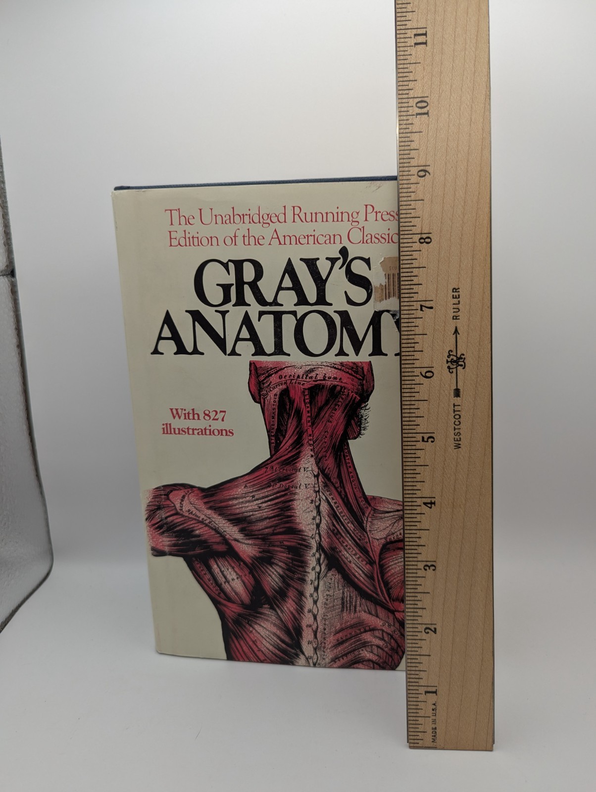 Gray’s Anatomy : The Unabridged Running Press Edition of the American Classic
