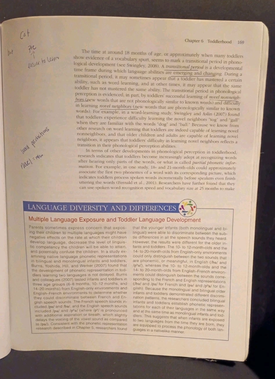 Language Development From Theory to Practice