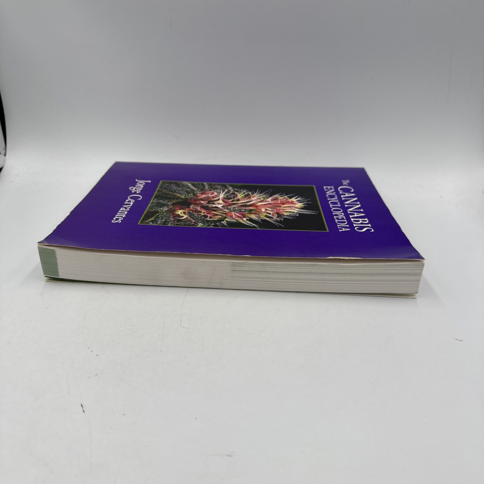 Cannabis Encyclopedia : The Definitive Guide to Cultivation and Consumption…