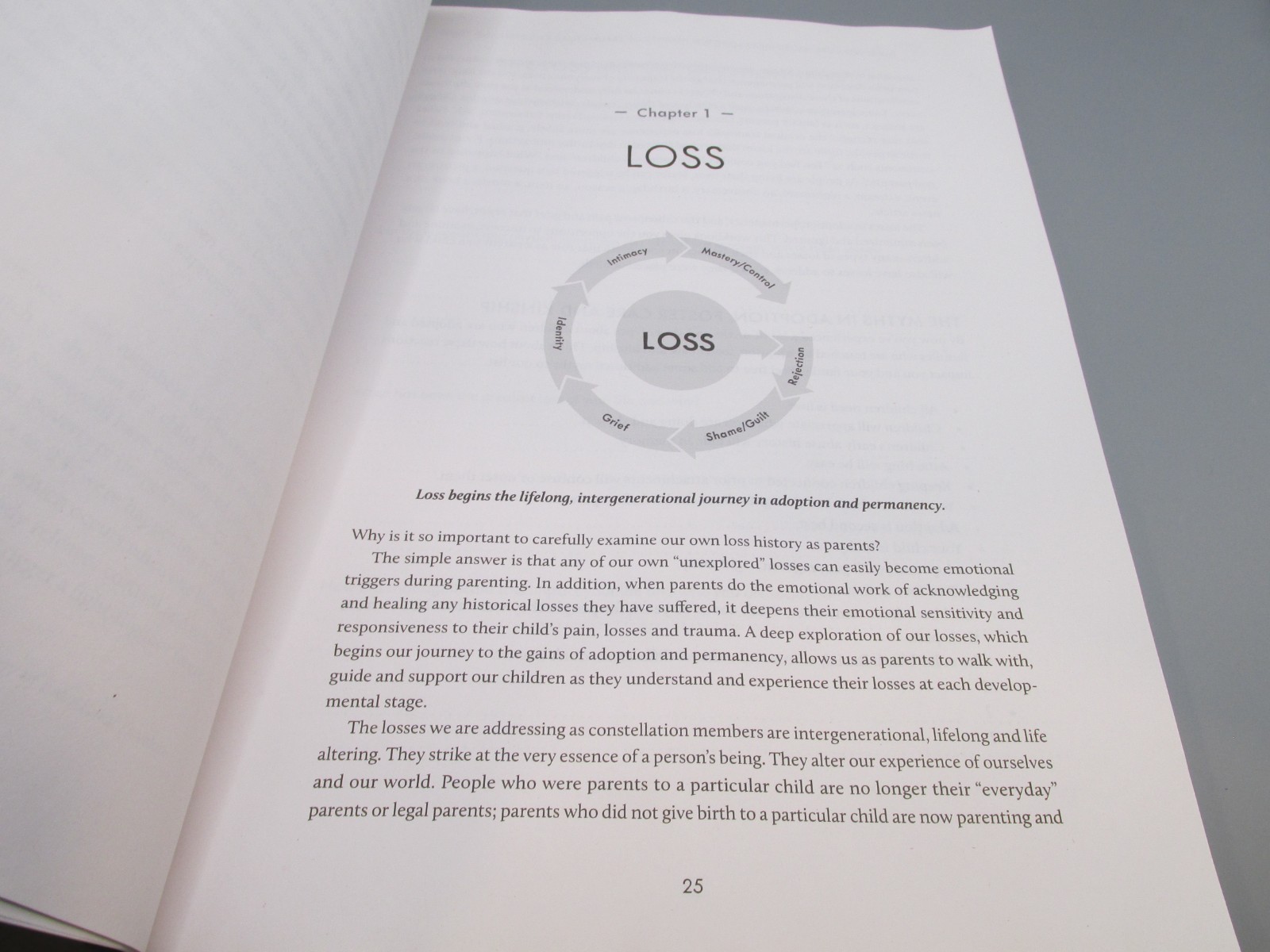 Seven Core Issues Workbook for Parents of Traumatized Children and Teens