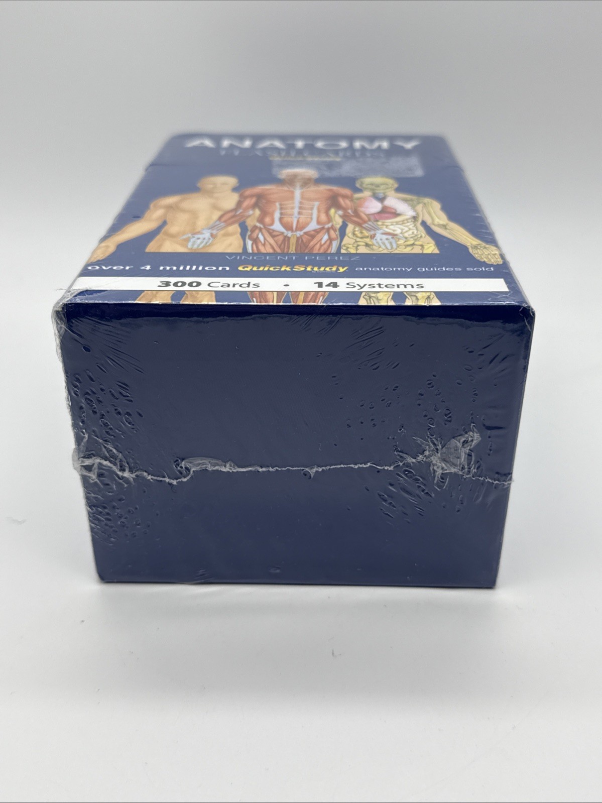 Anatomy Flash Cards 300 Cards 14 Systems Quick Study NEW SEALED