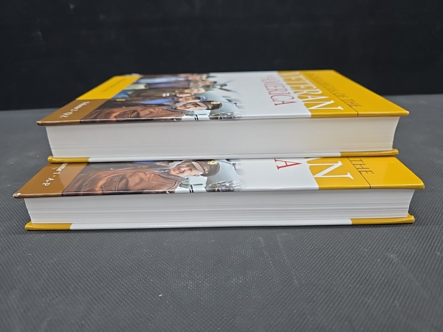 Encyclopedia of the Veteran in America [2 volumes]: 2 volumes