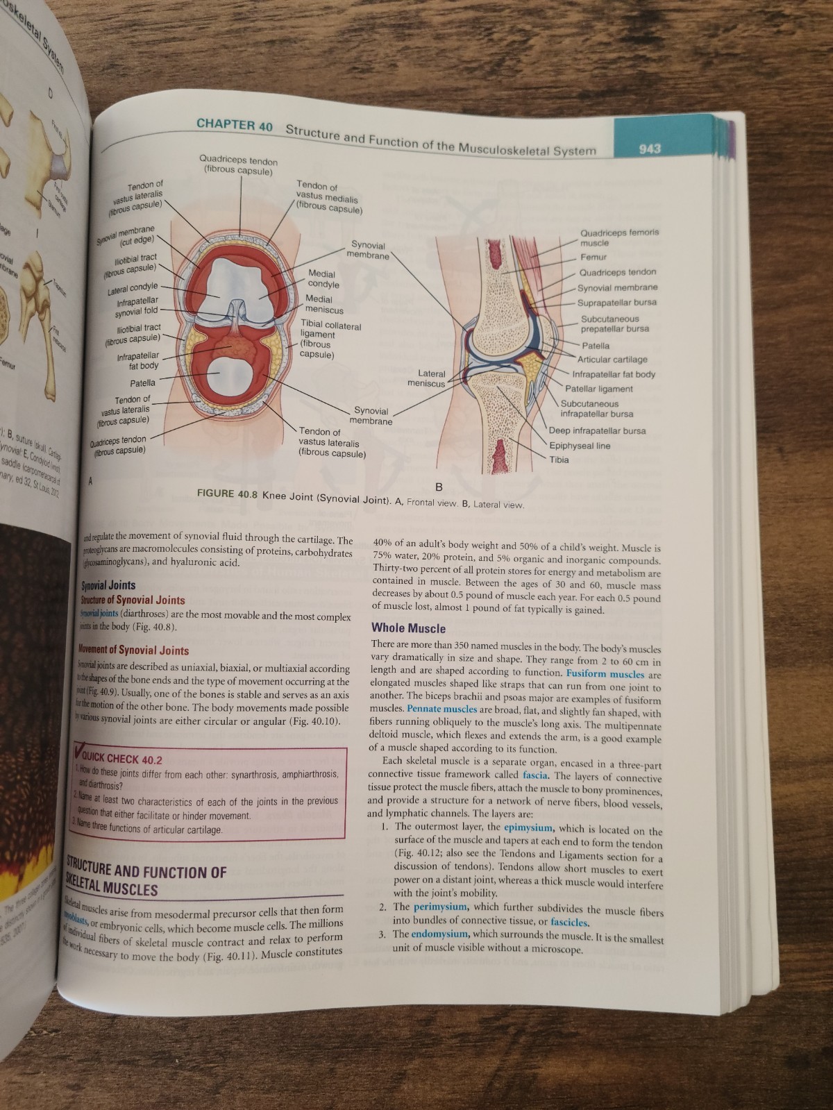 Understanding Pathophysiology – Paperback By McCance RN PhD, Kathryn L. – GOOD