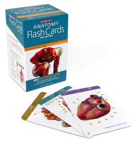 Barron’s Anatomy Flash Cards – Cards By Ashwell, Ken – GOOD