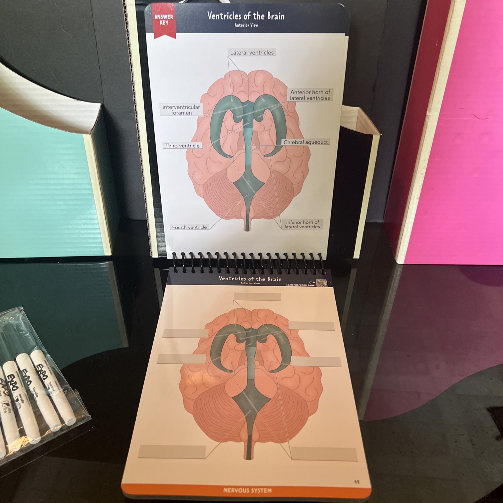 Nurse In The Making Anatomy Label Lab Workbook Laminated Spiral Bound