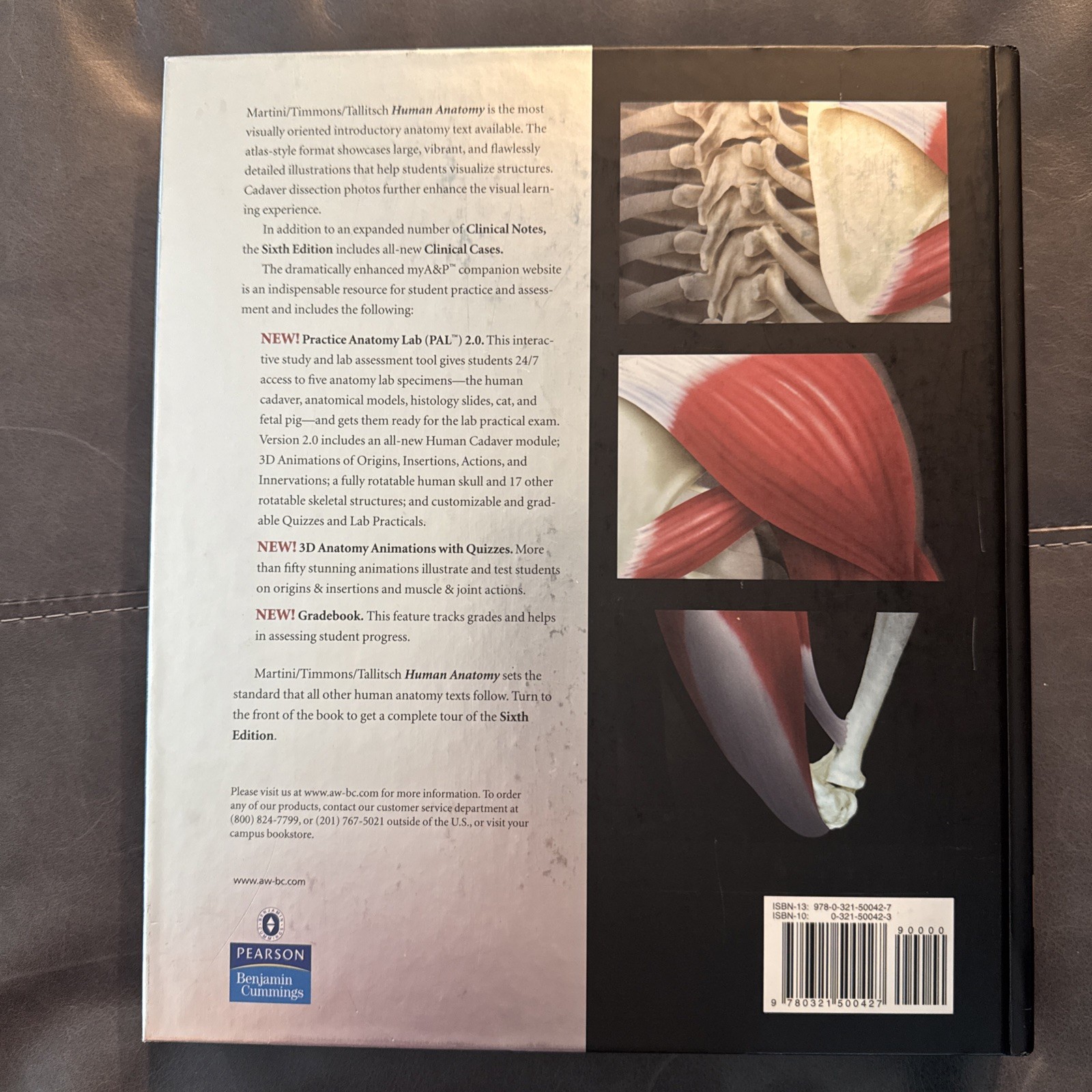 Human Anatomy (6th Edition) – Hardcover By Martini, Frederic H.