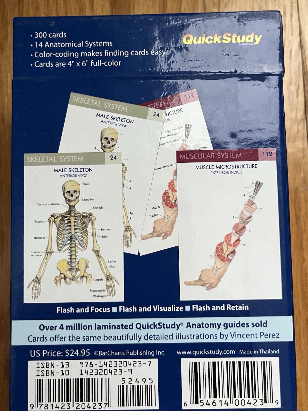 Anatomy Flash Cards QuickStudy Vincent Perez 300 Cards 14 Systems Study Aid