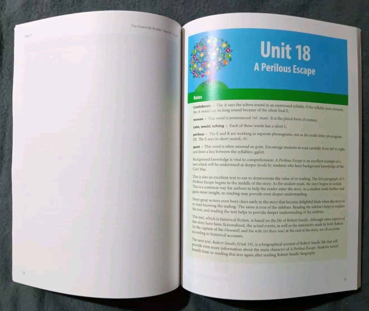 A Companion To The Essentials Reader – TEACHERS GUIDE