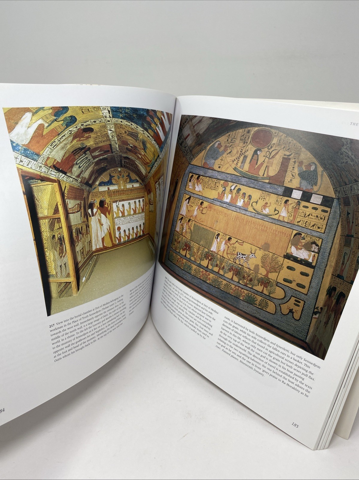 Art of Ancient Egypt : Revised Edition Gay Robins 2008 Paperback FREE SHIPPING!