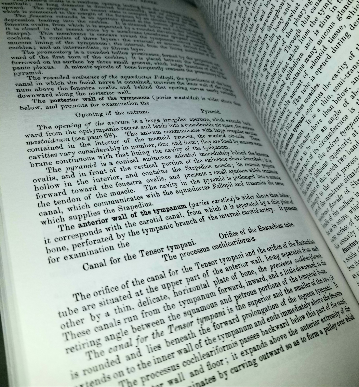 Gray’s Anatomy Unabridged Book By Running Press Edition of the American Classic