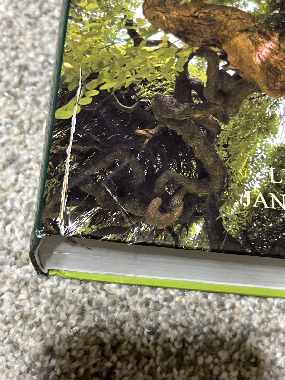 Organic Chemistry by Jan Simek and Leroy Wade (2016, Hardcover)