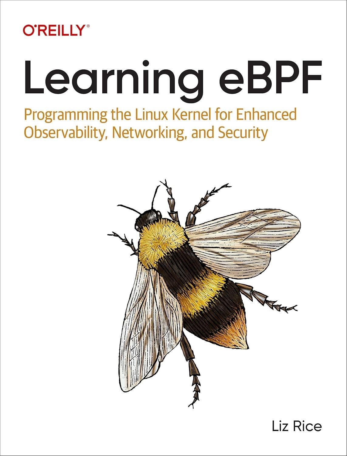 Learning Ebpf: Programming the Linux Kernel for Enhanced Observability, PB