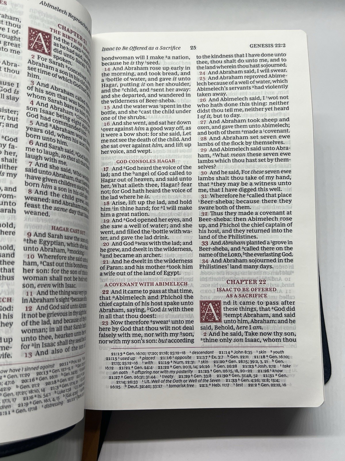 KJV/ The Holy Bible 2021
