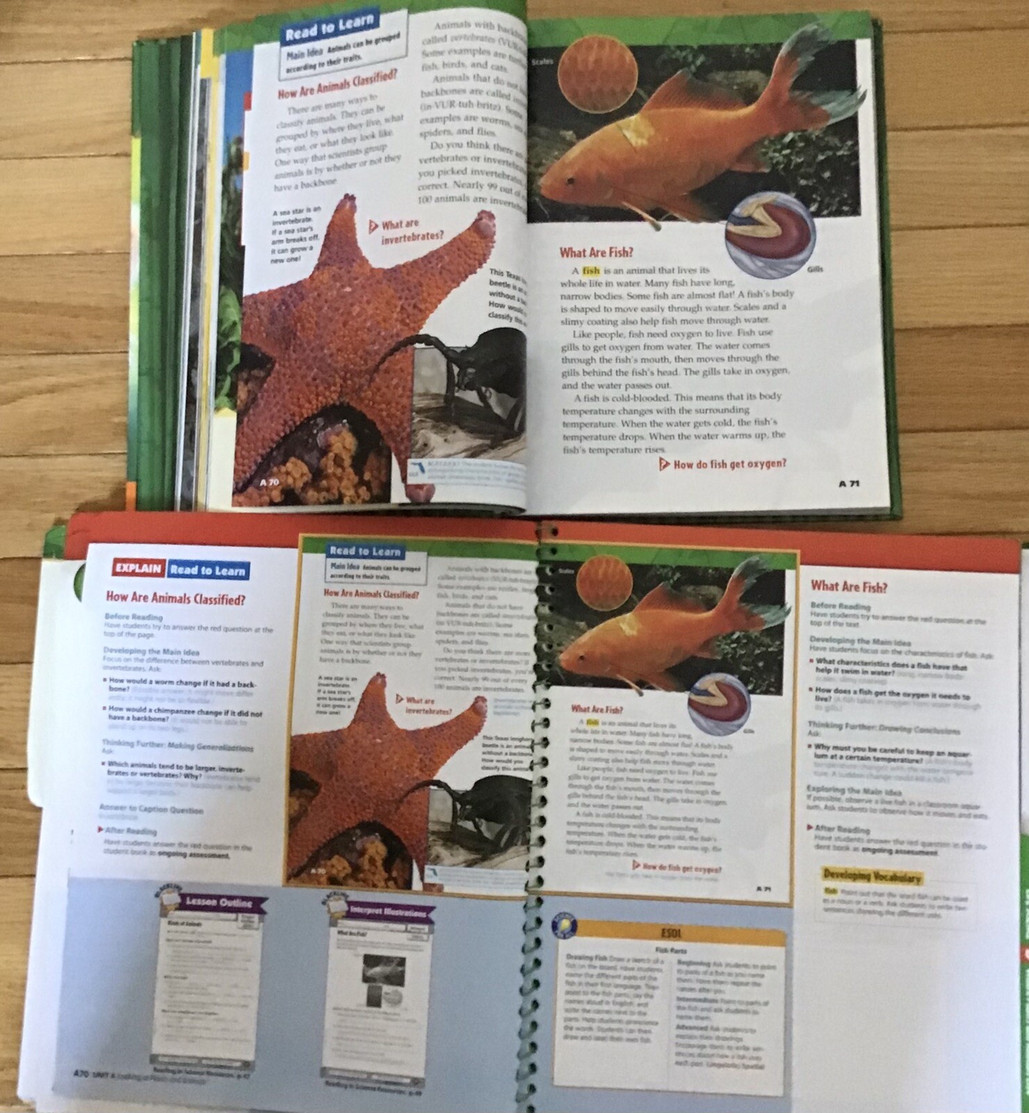 3rd Grade 3 Science Teachers Editions Test Workbook McGraw Homeschool Bundle Set