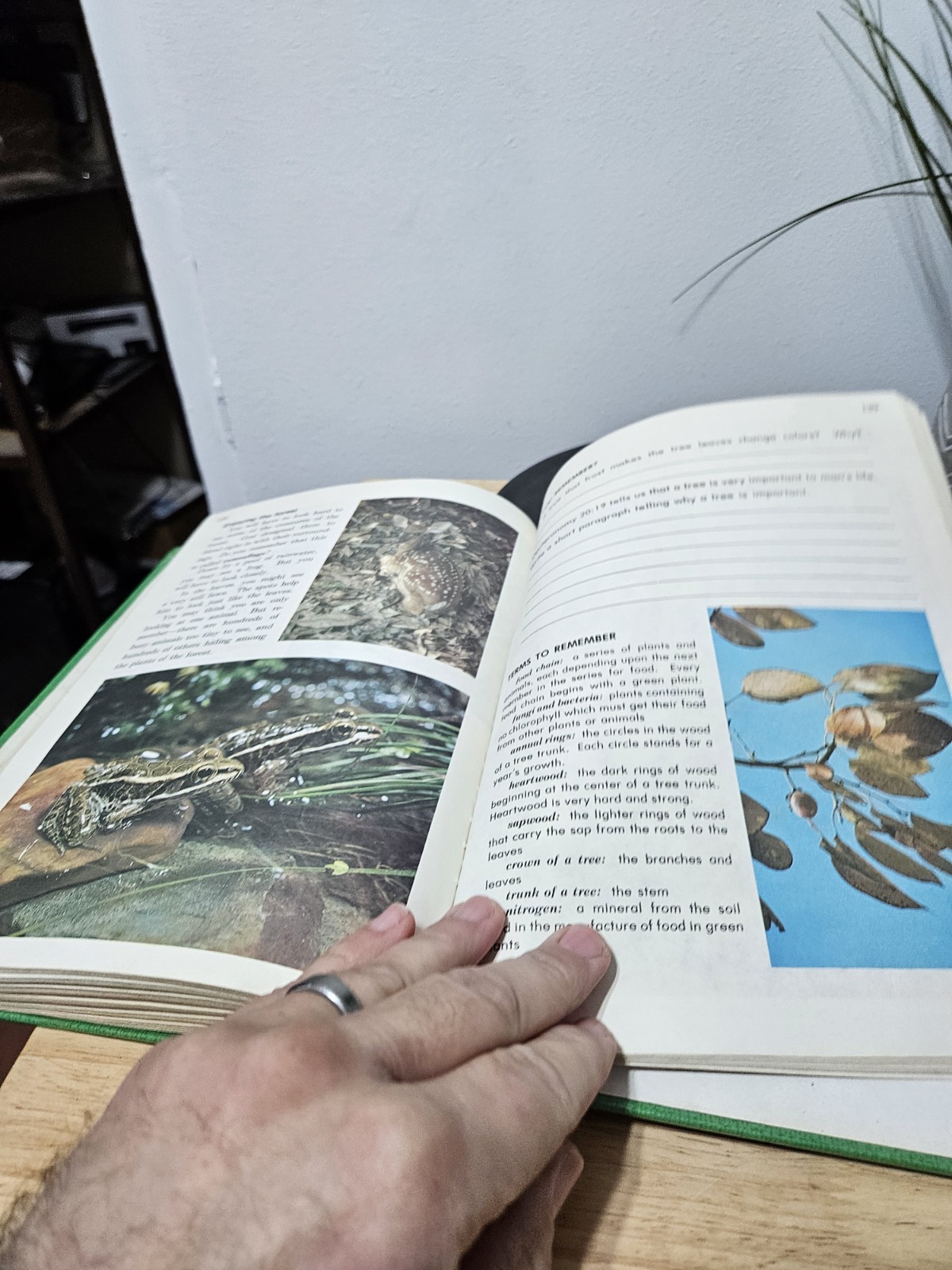 1976 Exploring God’s World 3- A Beka Book Science Series-By Judy Hull Moore
