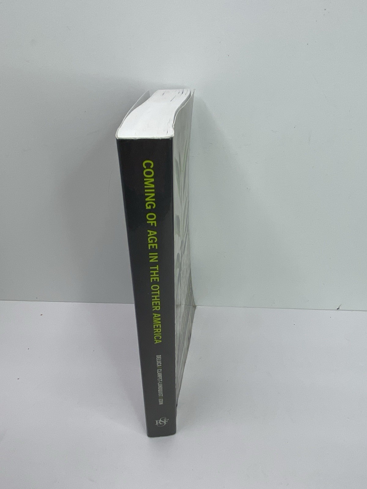 Coming of Age in the Other America Paperback Textbook ￼