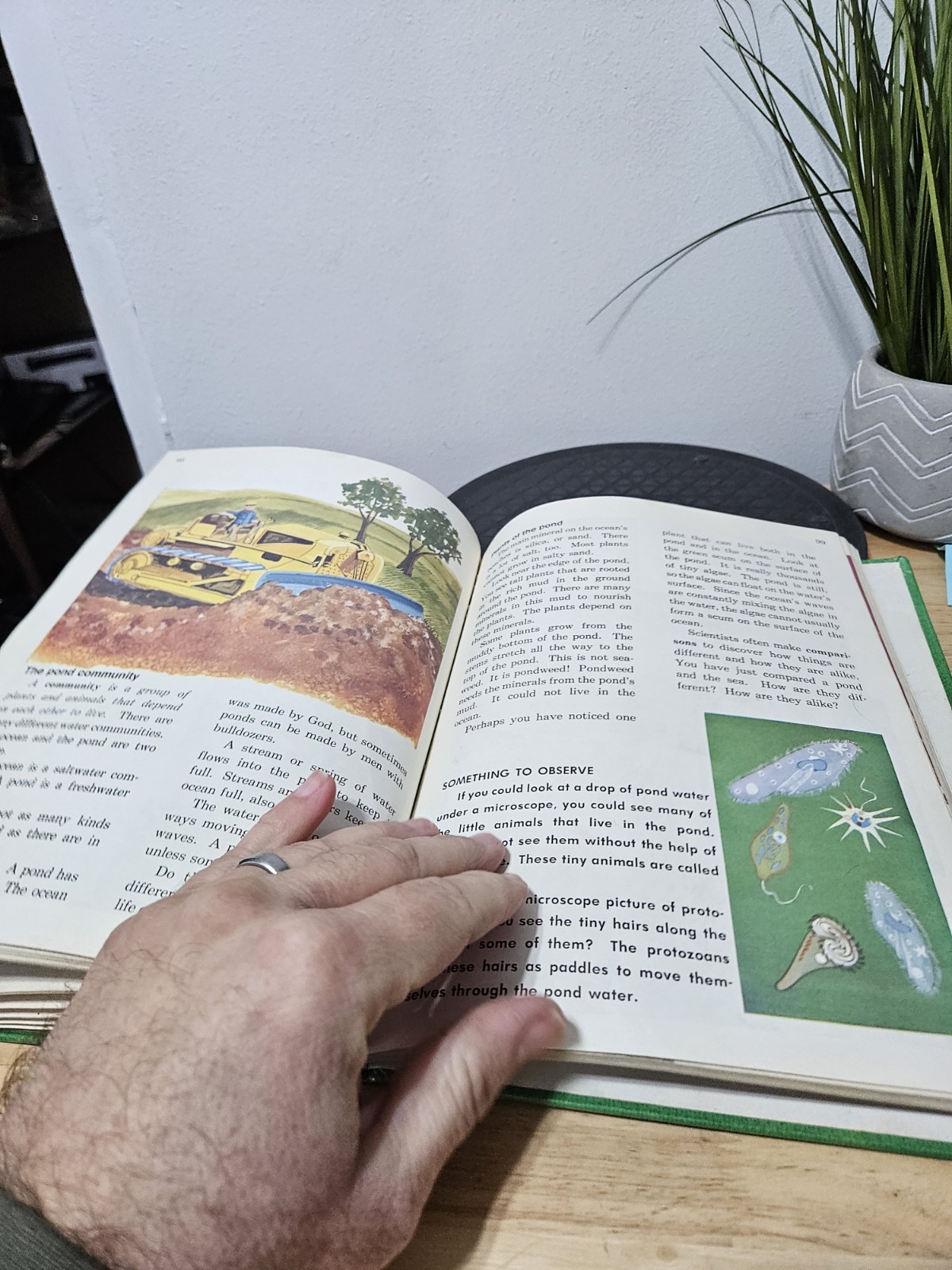 1976 Exploring God’s World 3- A Beka Book Science Series-By Judy Hull Moore