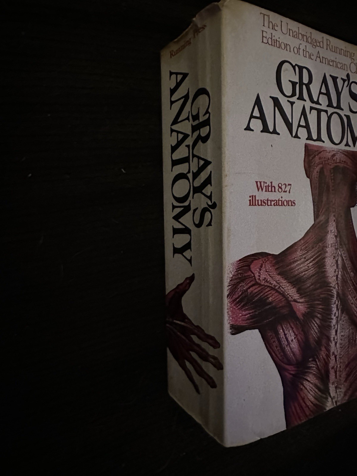 Gray’s Anatomy Unabridged Running Press Edition Softcover 827 Illustrations