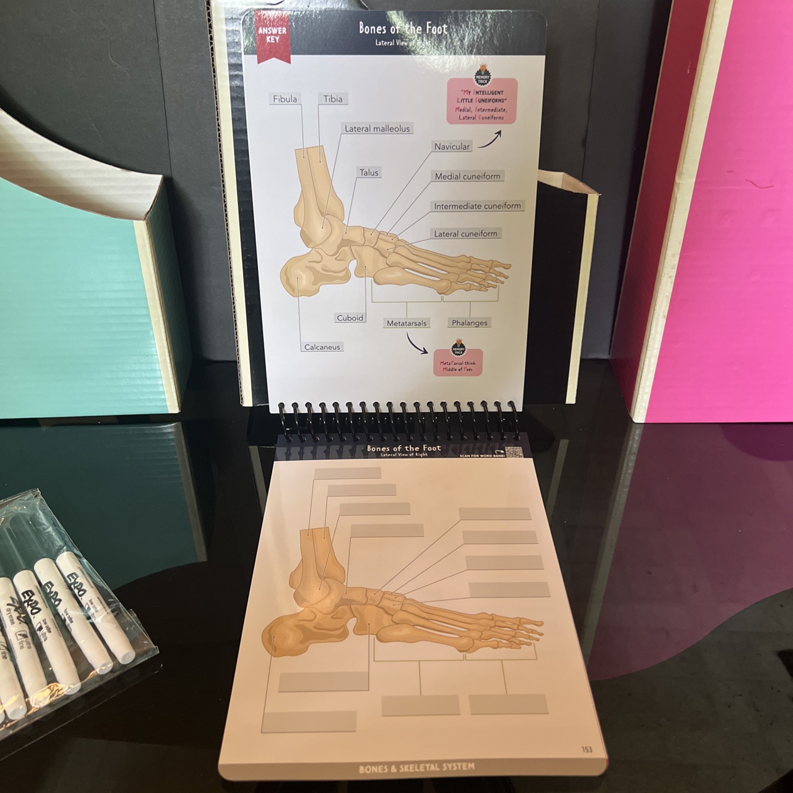 Nurse In The Making Anatomy Label Lab Workbook Laminated Spiral Bound