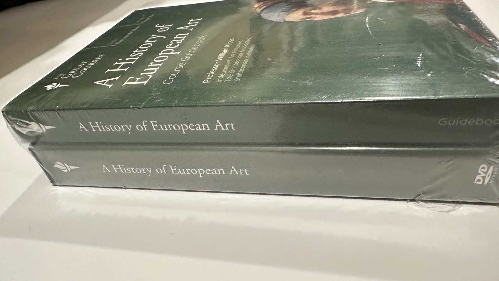 The GREAT COURSES A History of European Art Guidebook & DVD NEW SEALED