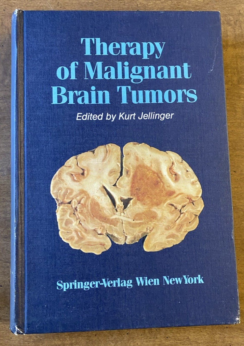 “Therapy of Malignant Brain Tumors” Medical HC 1987 Kurt Jellinger Springer