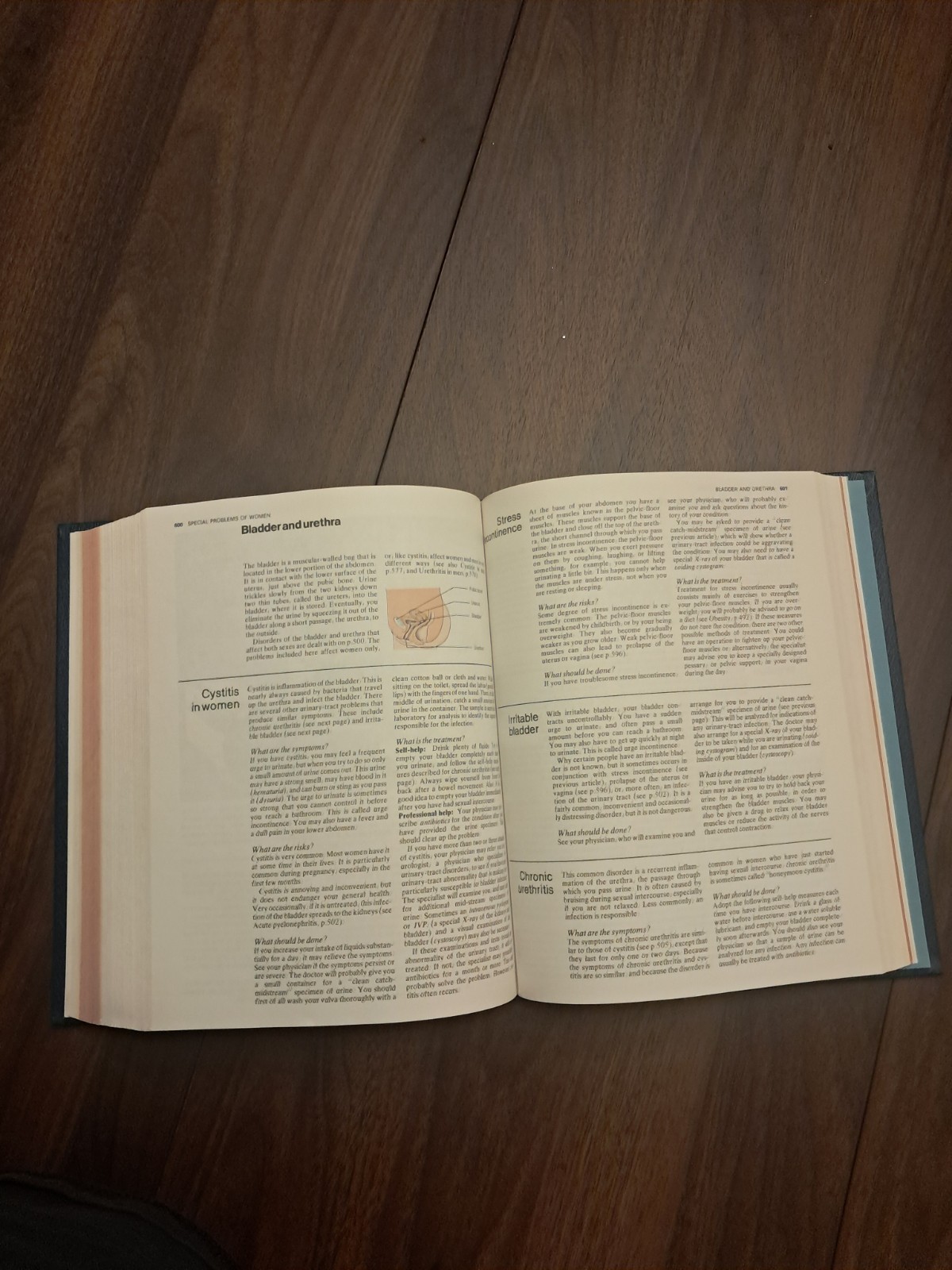 1982 AMA Family Medical Guide Book American Association