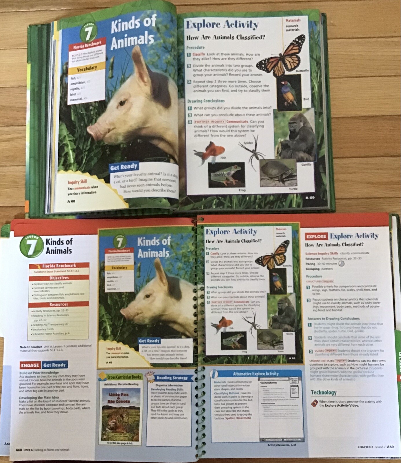 3rd Grade 3 Science Teachers Editions Test Workbook McGraw Homeschool Bundle Set