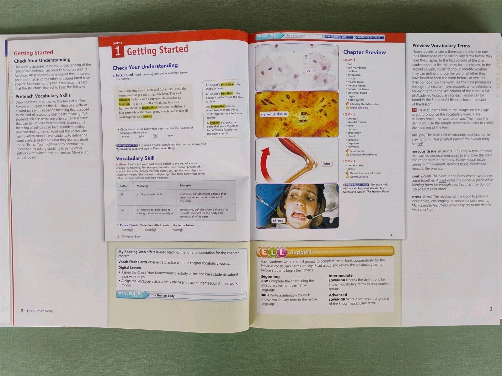 Interactive Science Human Body Systems 2011 HC Teacher’s Edition & Resource