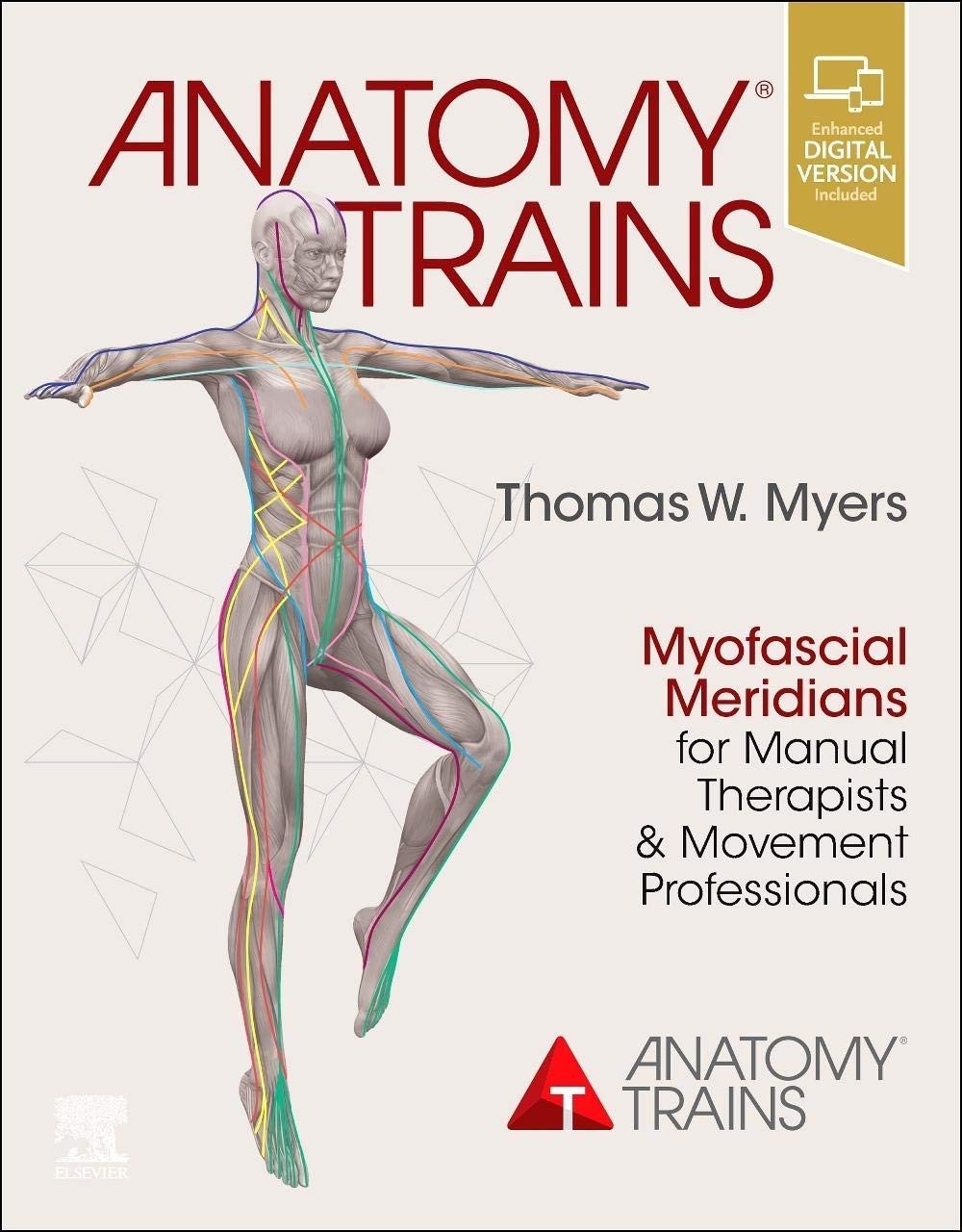 Anatomy Trains: Myofascial Meridians for Manual Therapists and by Myers