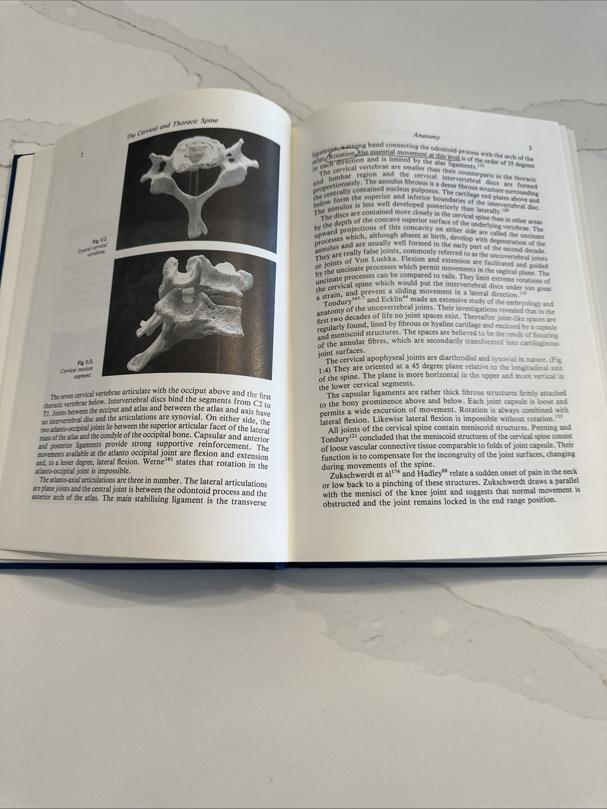 Cervical and Thoracic Spine: Mechanical Diagnosis and Therapy by Robin McKenzie