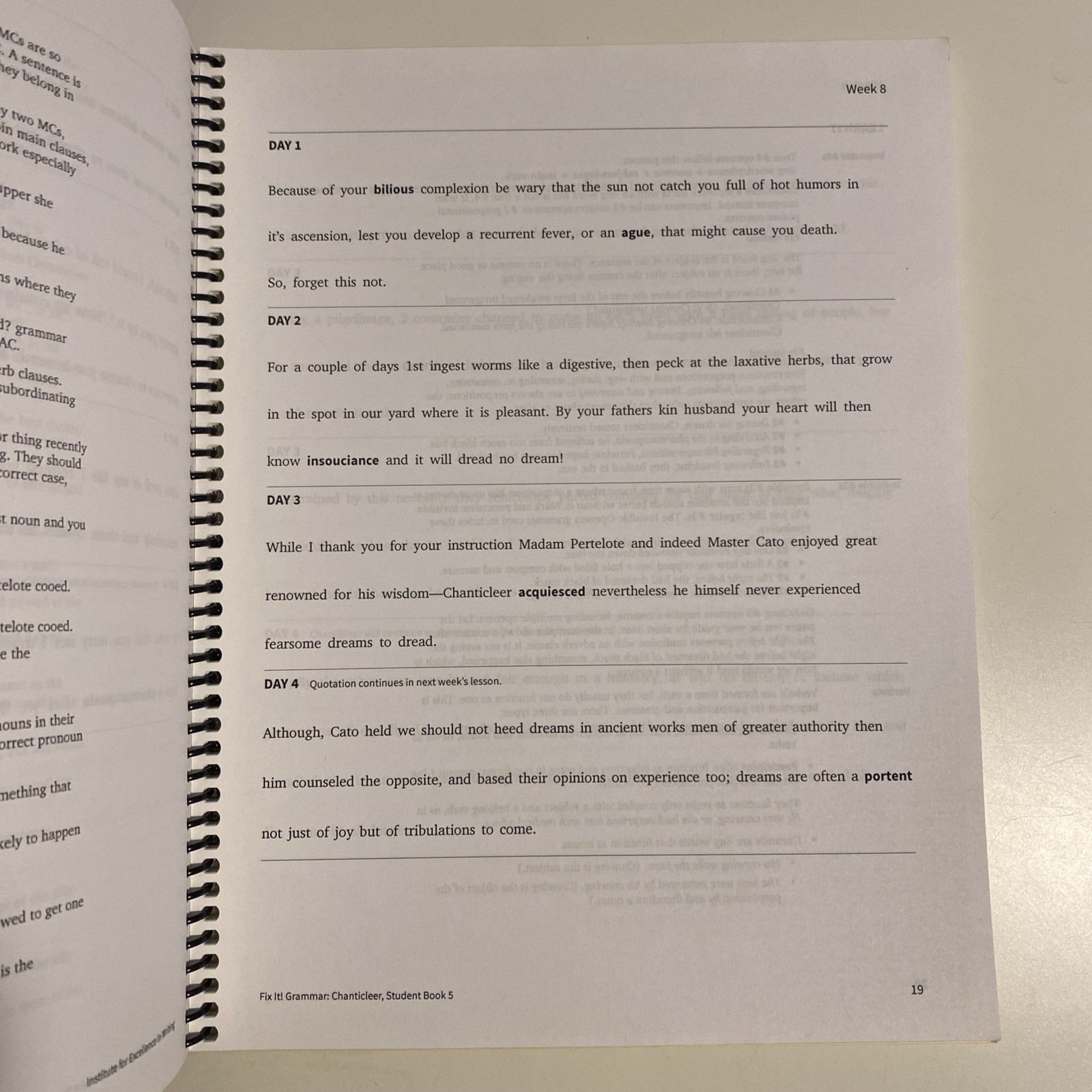 Fix It! Grammar: Chanticleer, – Spiral-bound, by Pamela White – No Writing