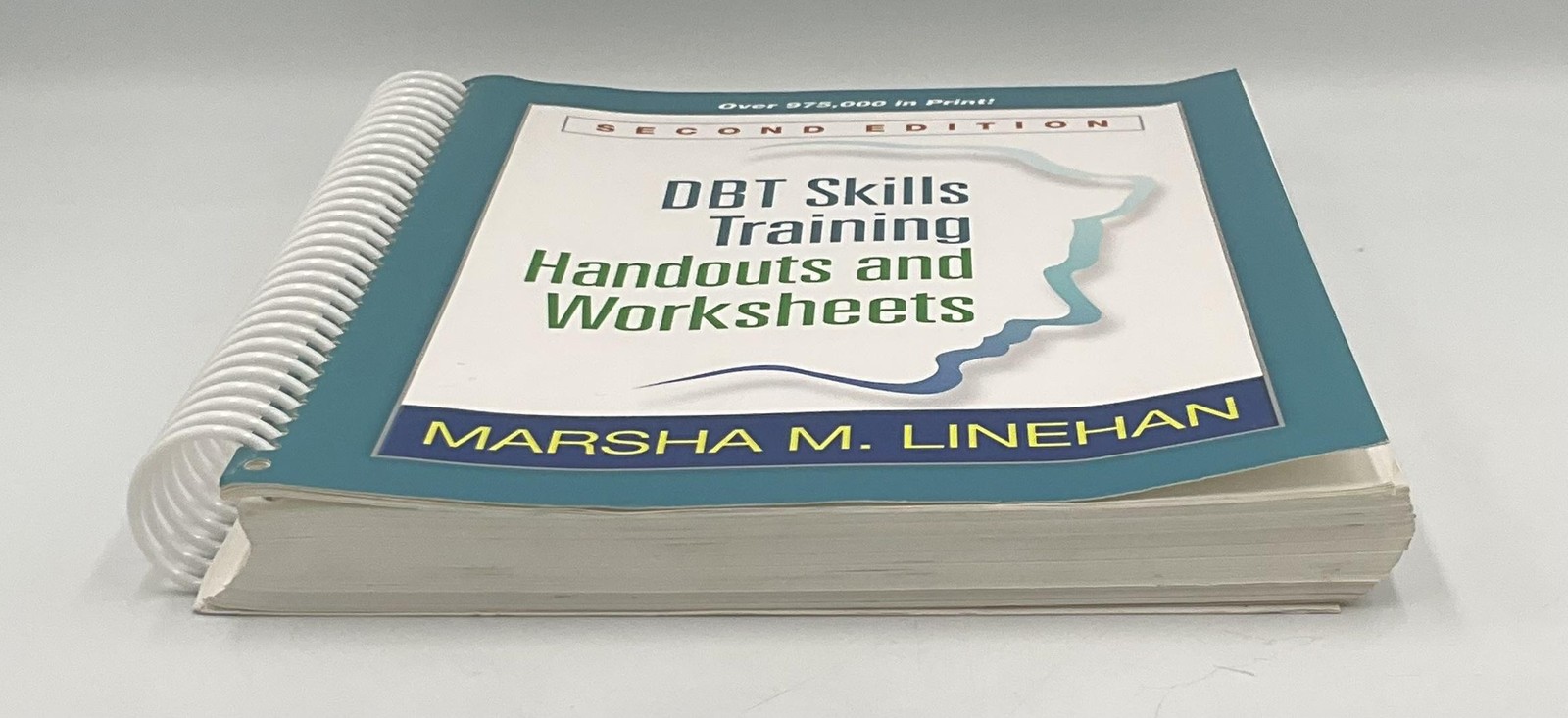 DBT Skills Training Handouts & Worksheets Marsha Linehan Guilford 8.5×11 Teal PB