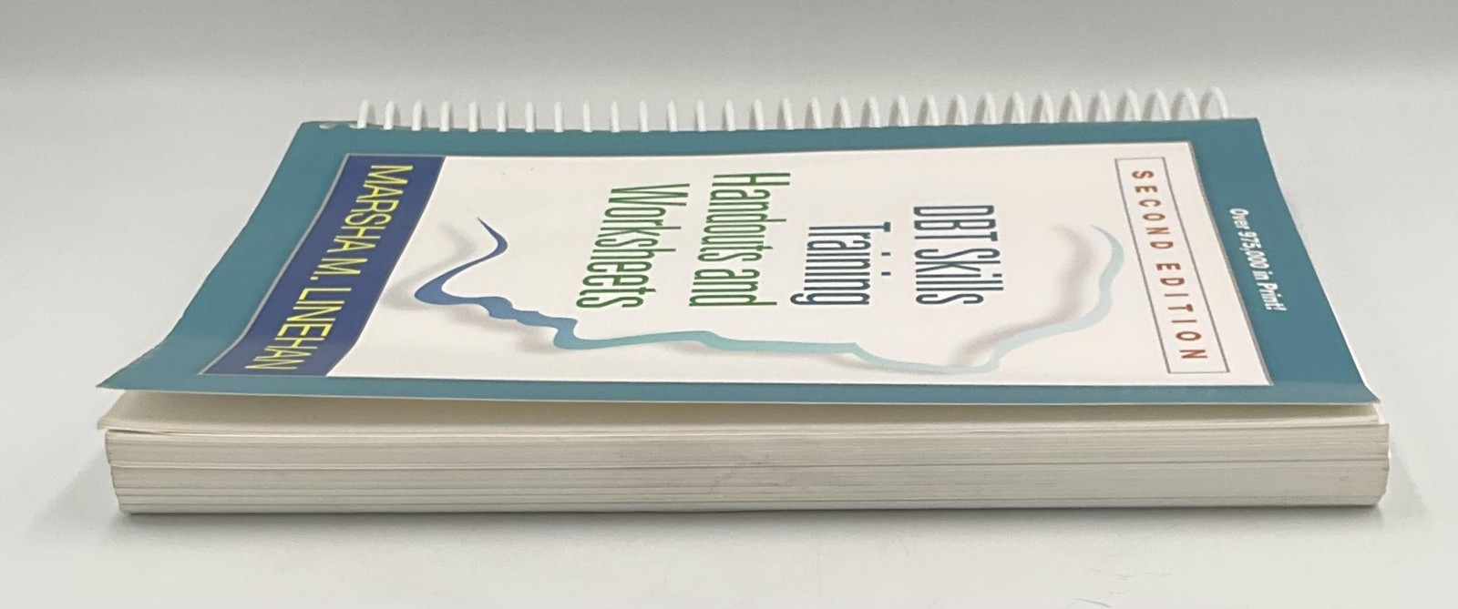 DBT Skills Training Handouts & Worksheets Marsha Linehan Guilford 8.5×11 Teal PB