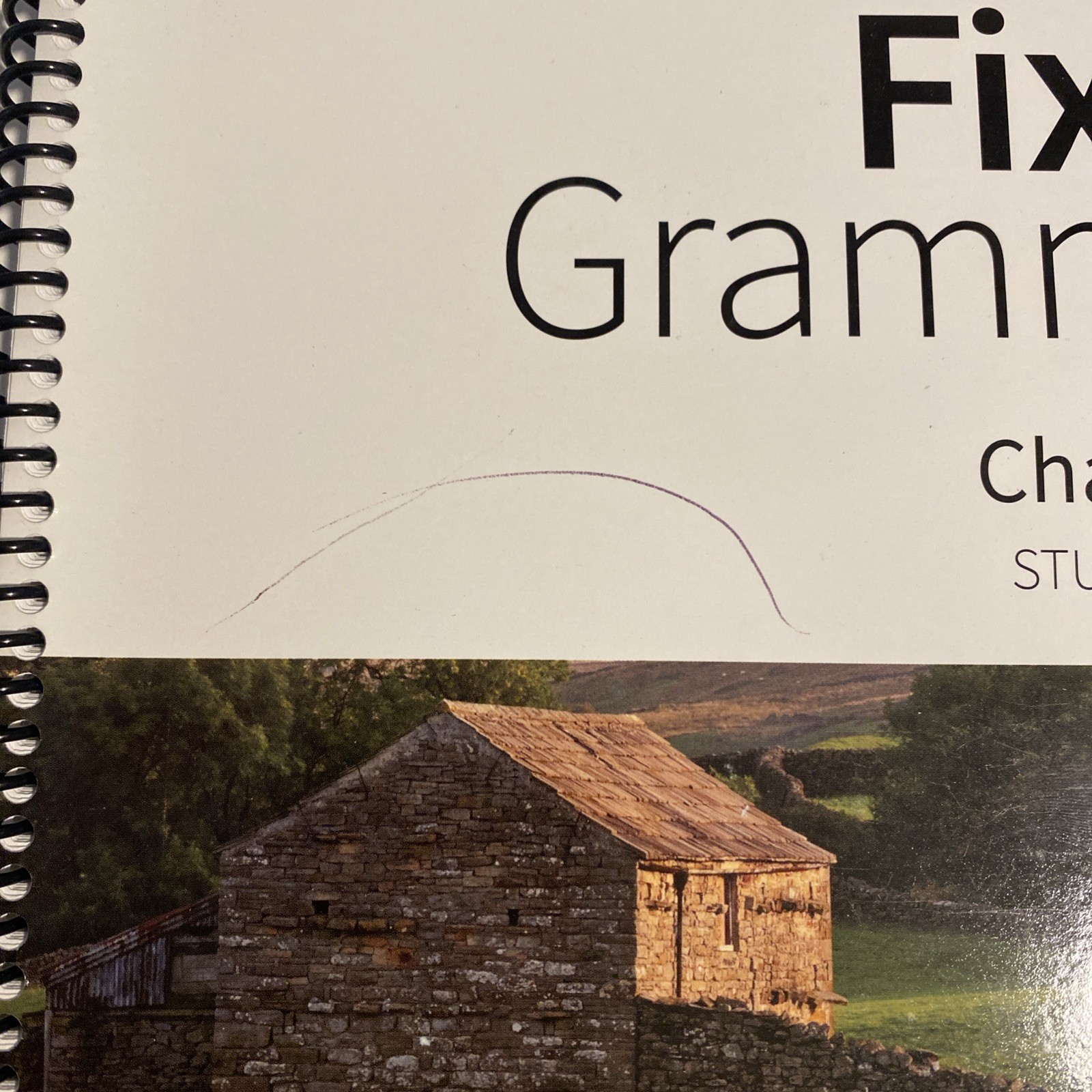Fix It! Grammar: Chanticleer, – Spiral-bound, by Pamela White – No Writing