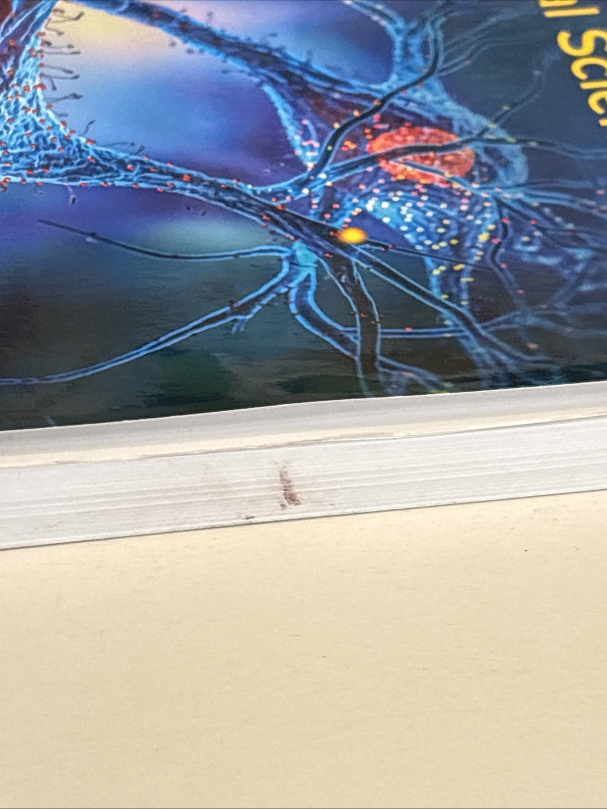 UWorld MCAT Prep Book 2026-2027 Behavioral Sciences 2nd Edition by UWorld