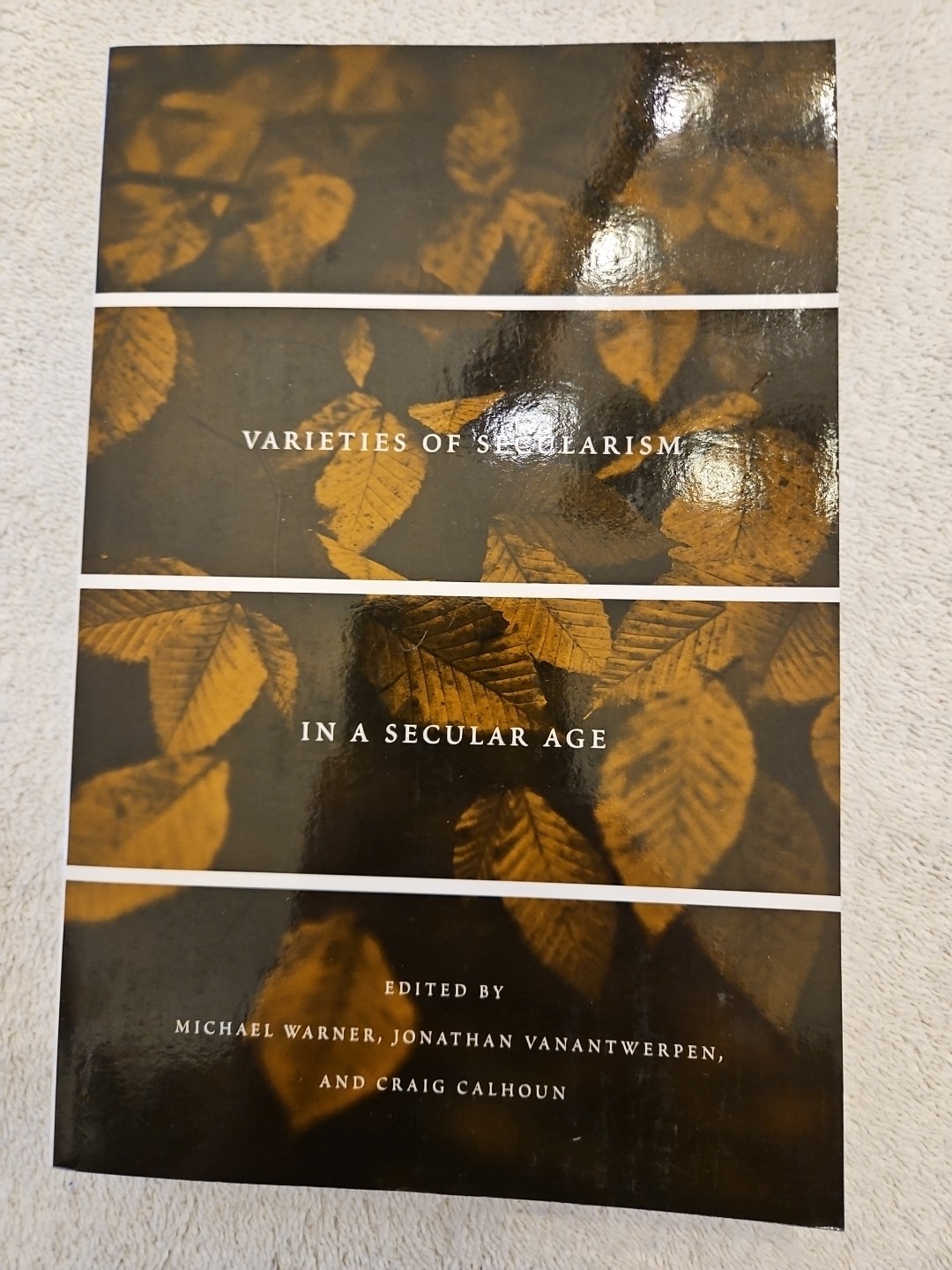 Varieties of Secularism in a Secular Age by Jonathan VanAntwerpen (2013, Trade P