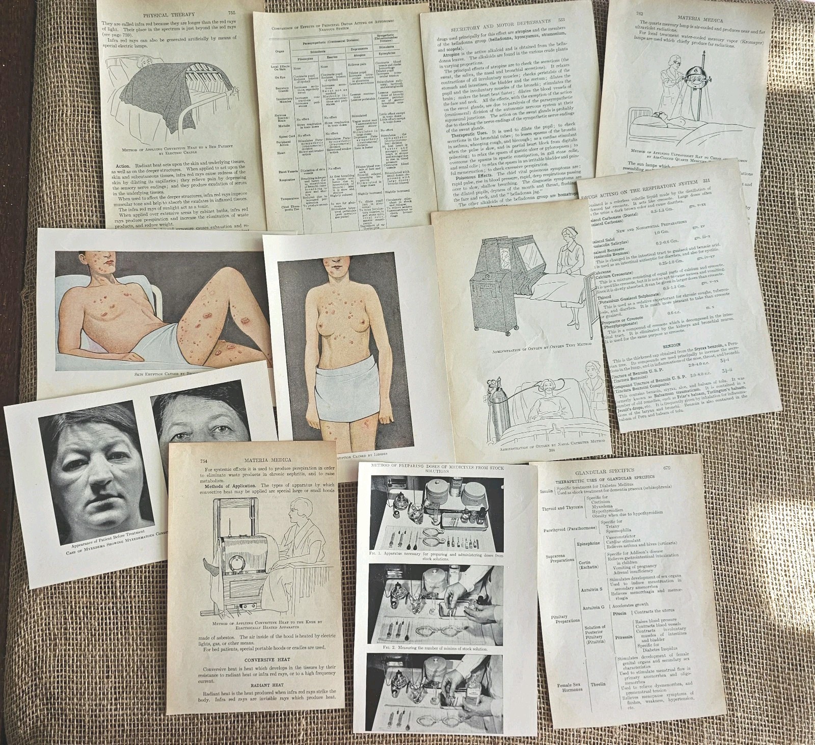 1937 Anatomy Medical Pages Diagrams 11 Pages 5″x7.75″