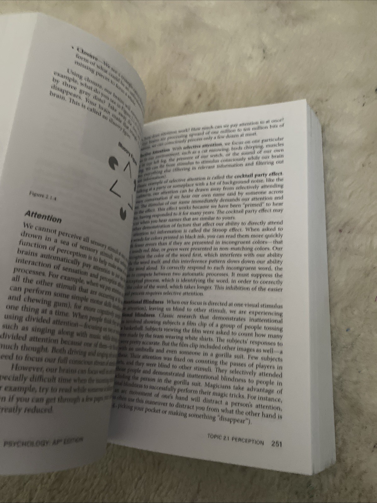 Advanced Placement Psychology, 3rd Edition (AMSCO PUBLICATION)