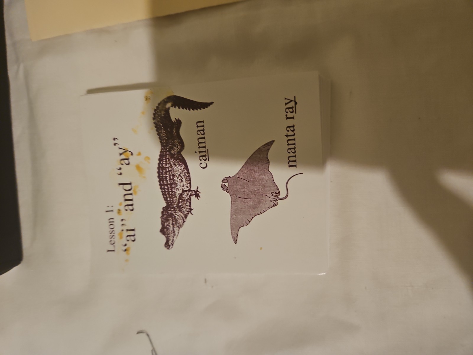 The Phonetic Zoo IEW A Laminated Cards (M)