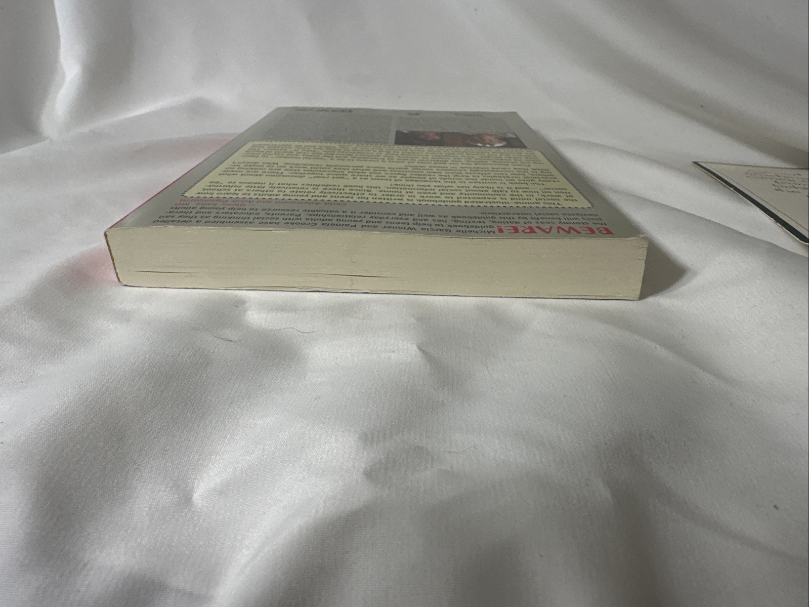 Socially Curious and Curiously Social by Michelle Garcia Winner – Very Good+