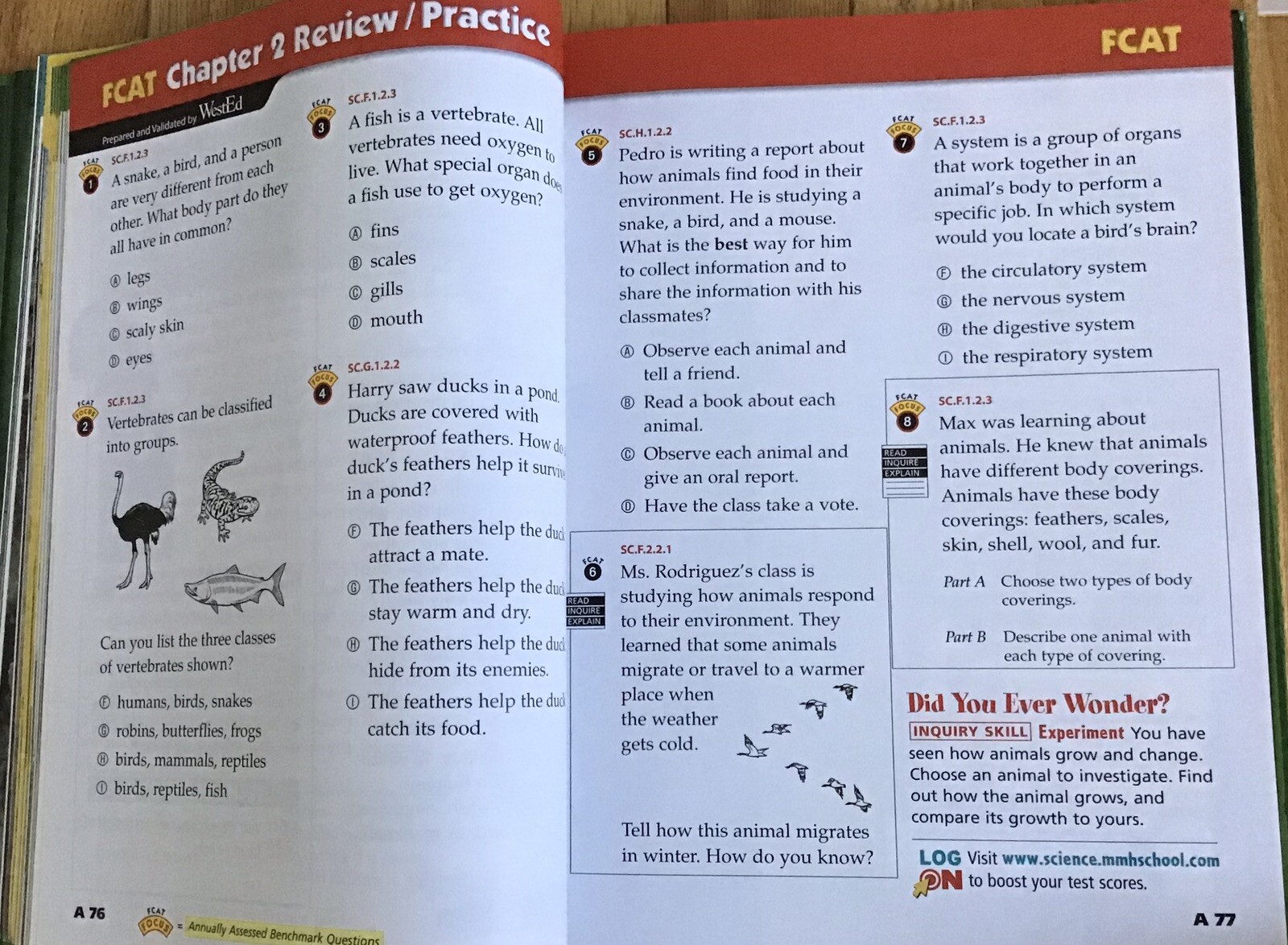 3rd Grade 3 Science Teachers Editions Test Workbook McGraw Homeschool Bundle Set