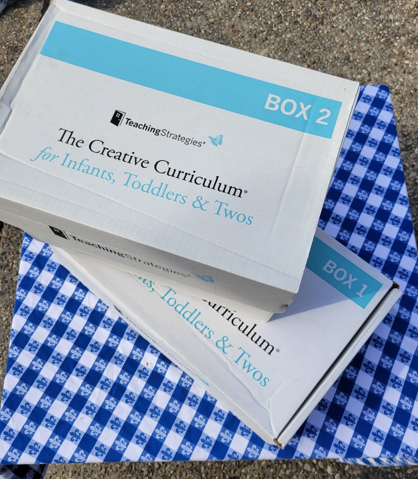 Creative Curriculum for Infants Toddlers & Twos COMPLETE Box Set – Teaching