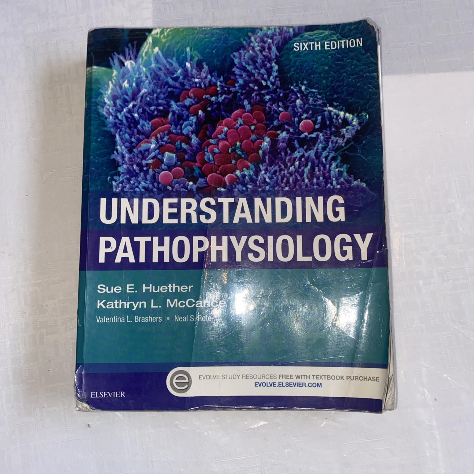 Understanding Pathophysiology by Kathryn L. McCance and Sue E. Huether (2016,…