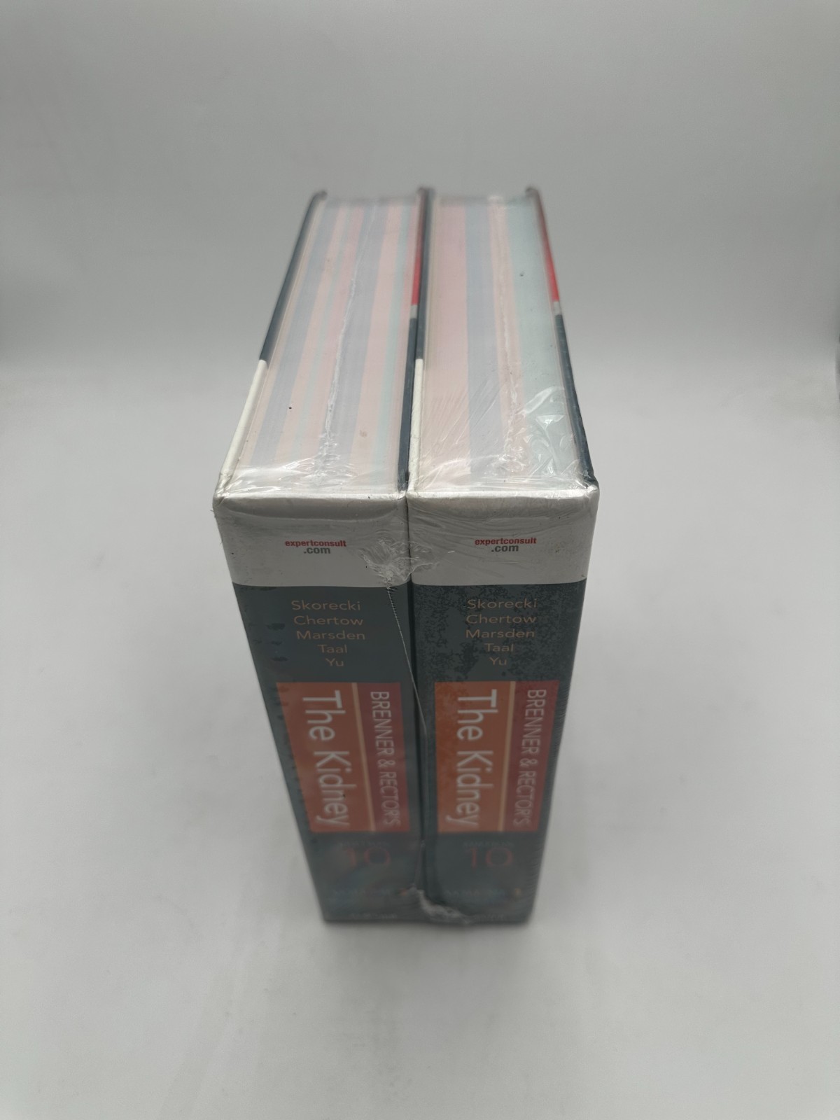 Brenner and Rectors The Kidney 10th Edition 2-Volume Set NEW SEALED Hardcover