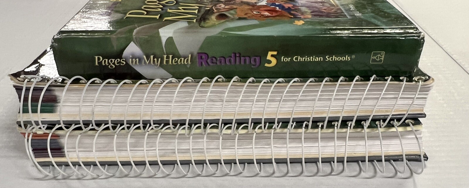 BJU Reading 5 Pages in My Head Textbook hardback and Teachers Editions 1 & 2